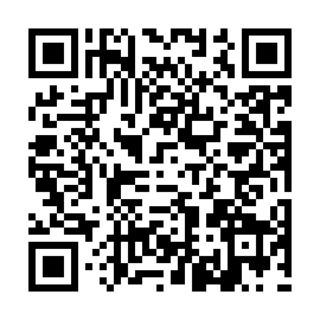 QR code for LI49491