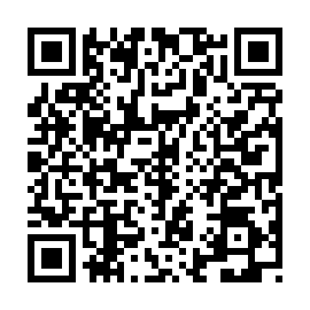 QR code for LI54949