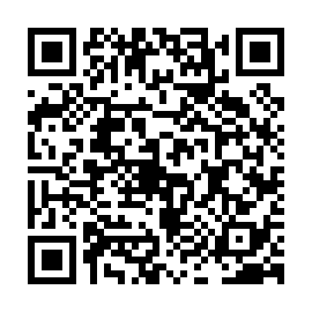 QR code for LI60386