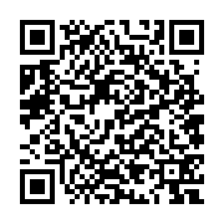 QR code for LI63729