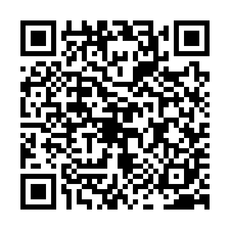 QR code for LI73811