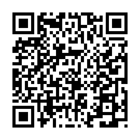 QR code for LI81685