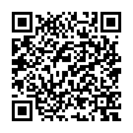 QR code for LI81767