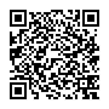 QR code for LJ13381