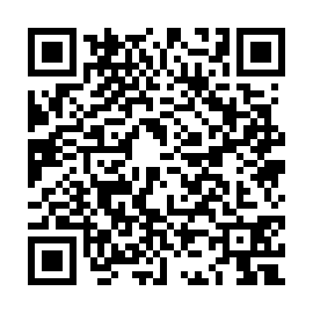 QR code for LJ17309