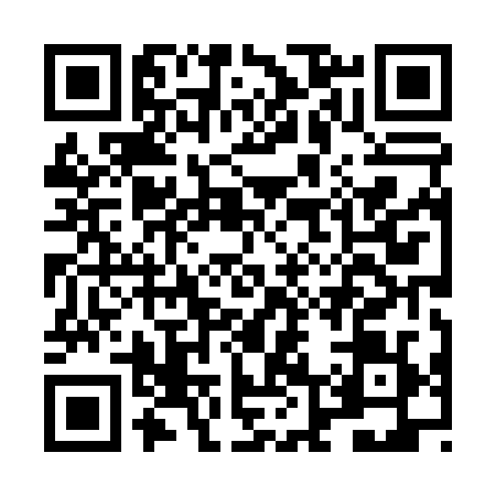 QR code for LL80290
