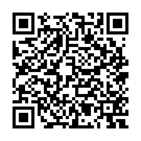 QR code for LM13533