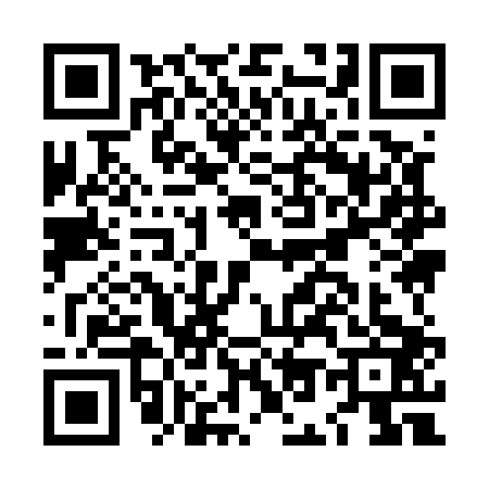 QR code for LO95036