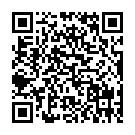 QR code for LP00393