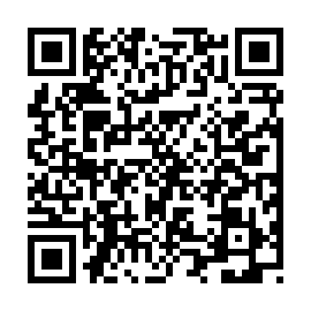 QR code for LP28991