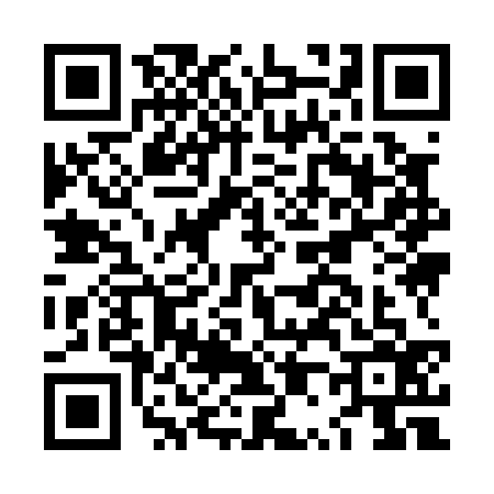 QR code for LP90369