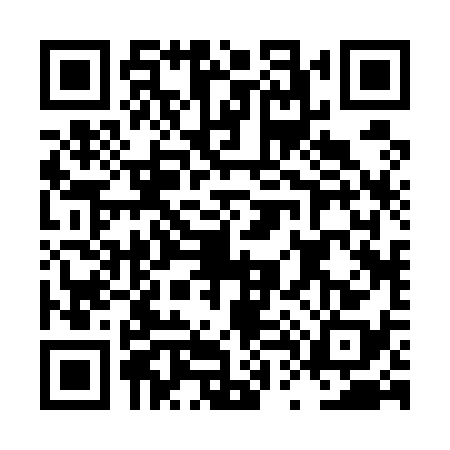 QR code for LT25382