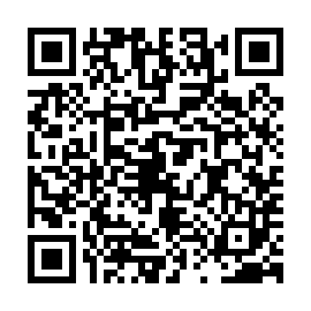 QR code for LT30838