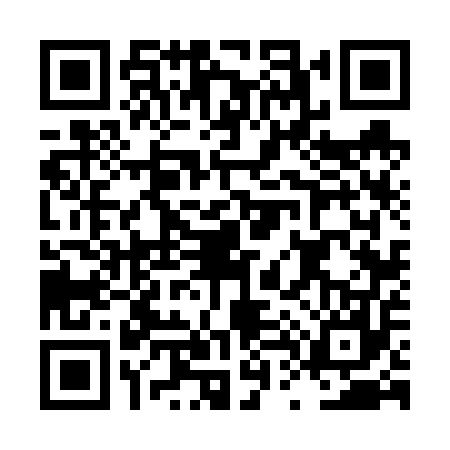 QR code for LT66579