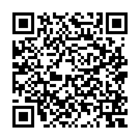 QR code for LT93411