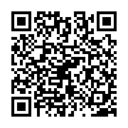 QR code for LT93993