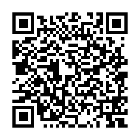 QR code for LV03981