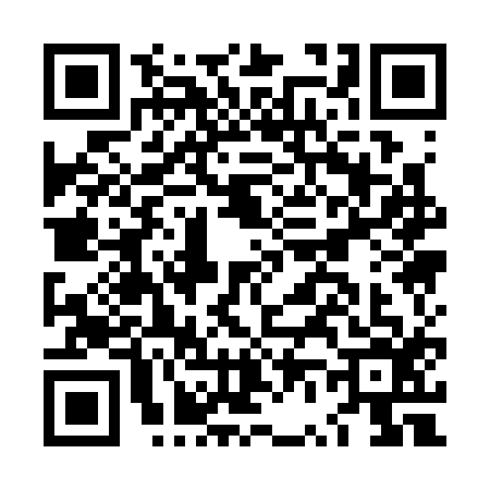 QR code for LV13161