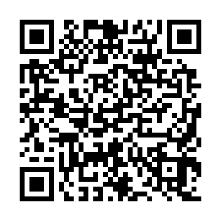 QR code for LV13431