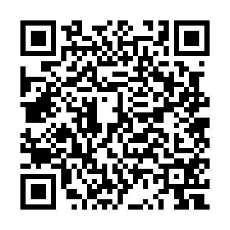 QR code for LV20541