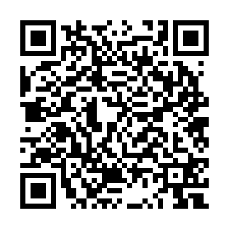 QR code for LV22207
