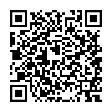 QR code for LV28909