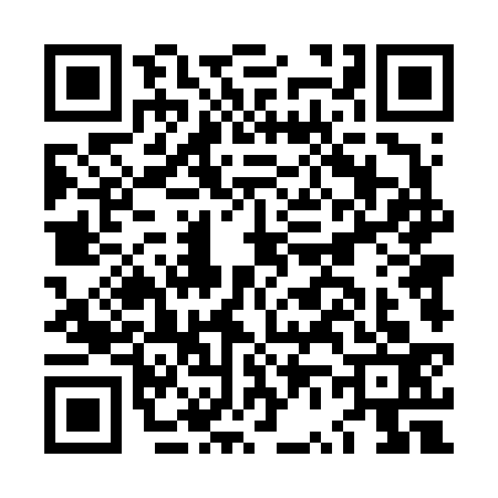 QR code for LV46330