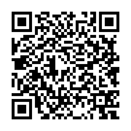 QR code for LV48343