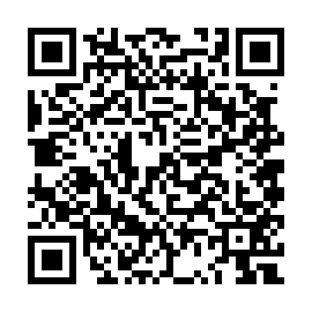 QR code for LV60539
