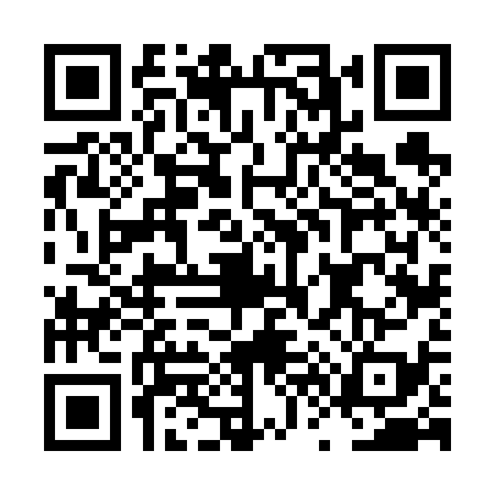 QR code for LV66390