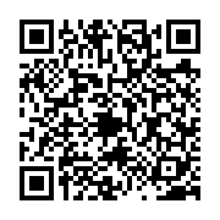 QR code for LV66691