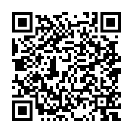 QR code for LV80528