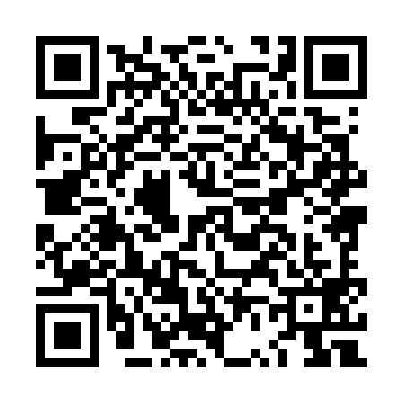 QR code for LV87999