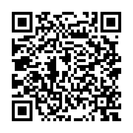 QR code for LV90573