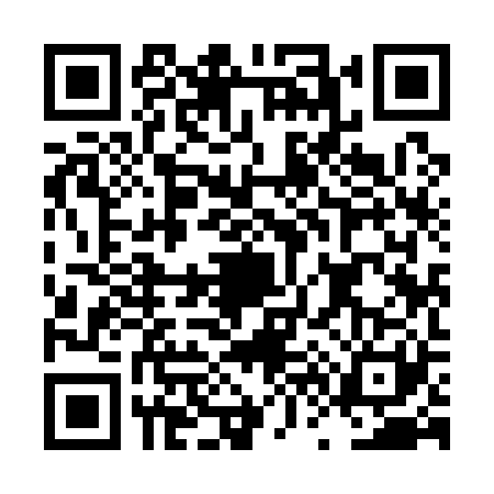 QR code for LV91218