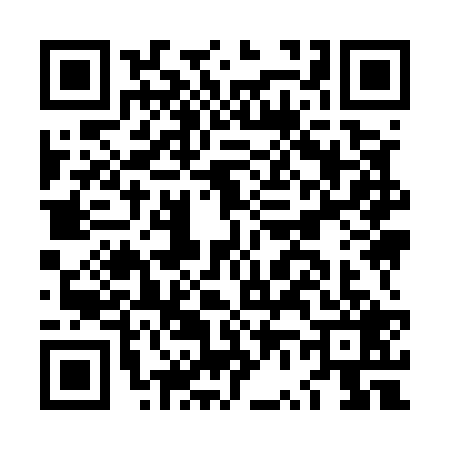 QR code for LV95299