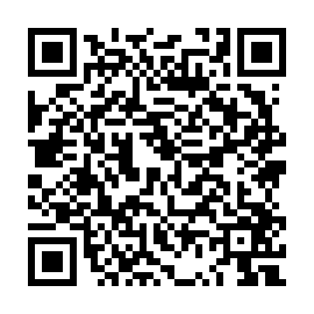 QR code for LV96462