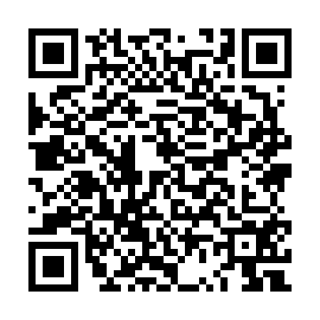 QR code for LV96540