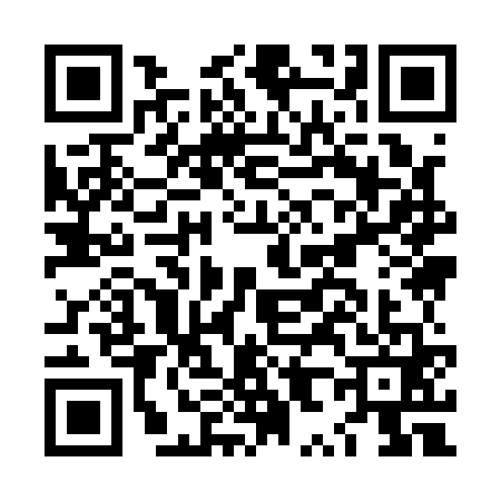 QR code for LX91613