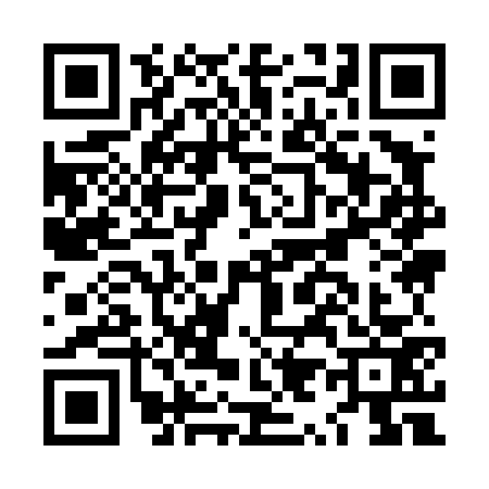 QR code for LY94732