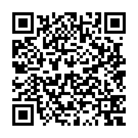 QR code for LZ00394