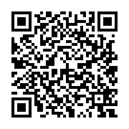 QR code for LZ71295