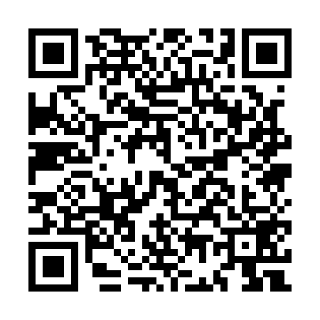 QR code for MG11596