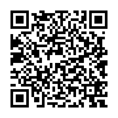 QR code for MG40291