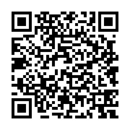 QR code for MG40381
