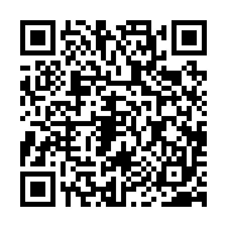 QR code for MI02977