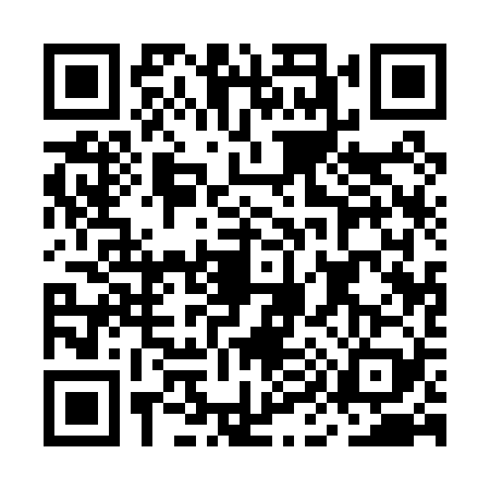QR code for MI10291