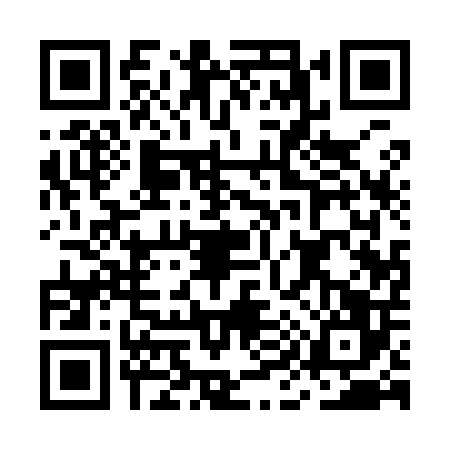 QR code for MI19063