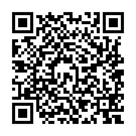 QR code for MI29995