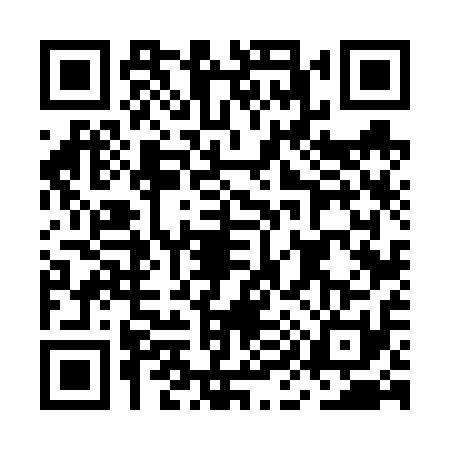 QR code for MI66119